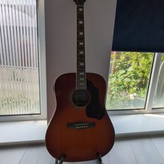Ibanez SGT120E