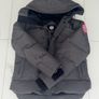 Canada goose Image 2