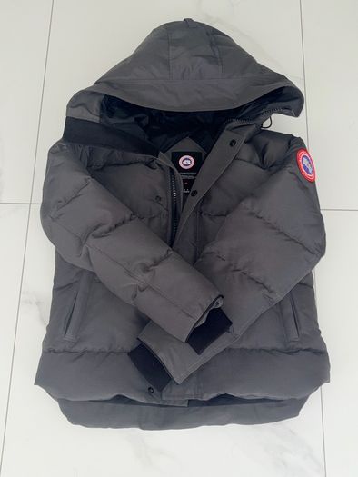 Canada goose
