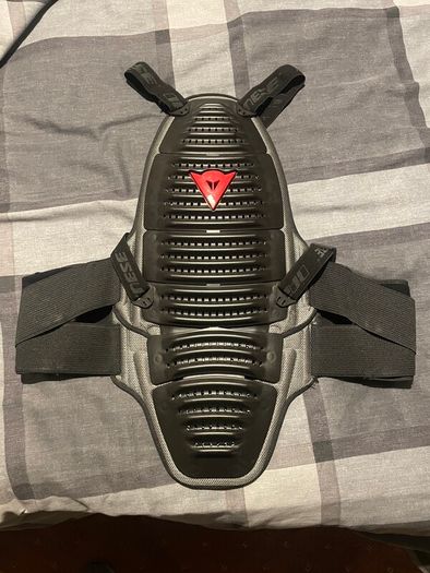 Dainese Back Protector