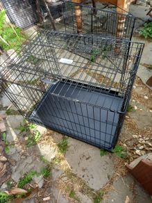 Dog crate