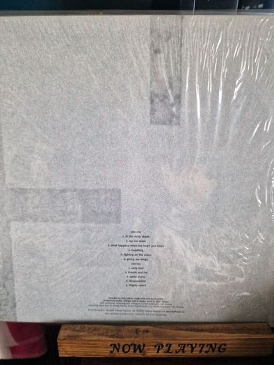 The Frames - For the Birds vinyl lp