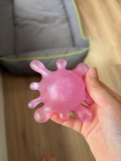 Squishy and Nee Dohs