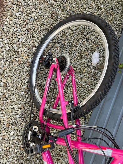 ladies bike