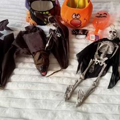 Halloween Decoration & Treat Bucket Bundle (Multi-Piece Spooky Set)