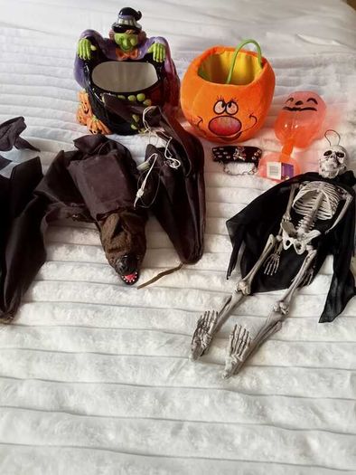 Halloween Decoration & Treat Bucket Bundle (Multi-Piece Spooky Set)