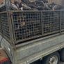 Last Load Black Coal Image 3