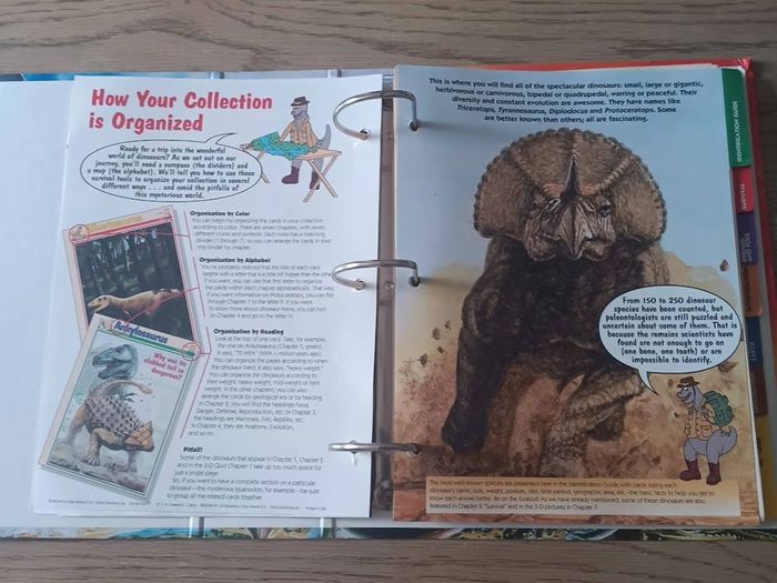 The Age of  Dinosaurs Fact File