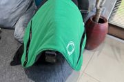 Bugaboo bag in Swords