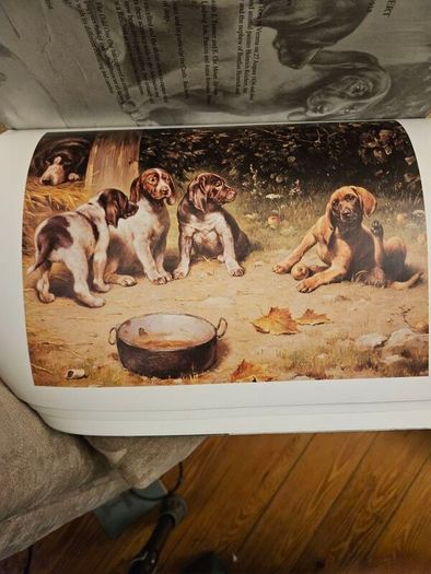 Haynes Fine Art Of Broadway Catalogue.  Beautiful Illustrated Large Volume Paperback In Good Condition.
