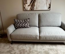 Brand New Couch