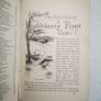 1888 Huckleberry Finn Image 8