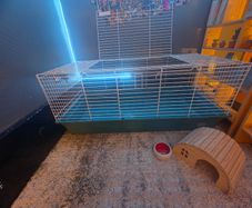 Guinea pig/ rabbit cage