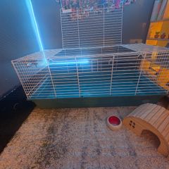 Guinea pig/ rabbit cage