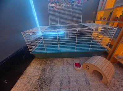 Guinea pig/ rabbit cage