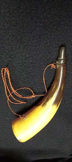 Vintage Cow Horn  1950s