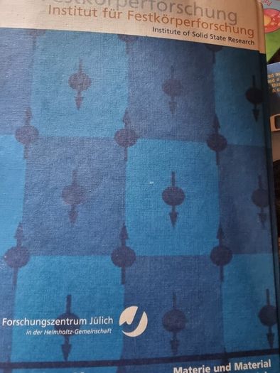 Magnetism goes Nano: Electron Correlations, Spin Transport, Molecular Magnetism... (gebundene Ausgabe