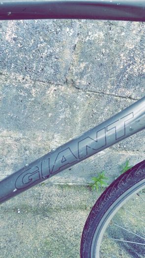 Giant mountain bike