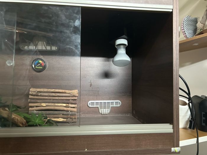 Gecko Enclosure