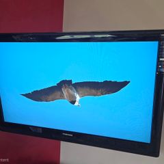 Toshiba TV 38in