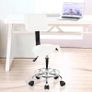Rolling Stools with Back Support Facial Salon Kitchen Chair (White Image 3
