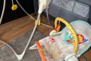 Fisherprice 2in1 Swing / Bouncer