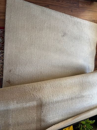 rug