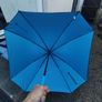 Umbrella Image 2