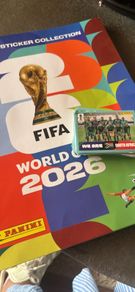 Panini world cup stickers