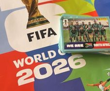 Panini world cup stickers