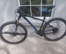 Carrera Hellcat Mountain Bike