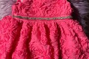 Girls Cinderella dress