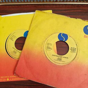 Pair of Rezillos Jukebox 7"s, Punk