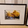 2 original signed framed photographs Image 2