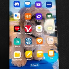 Honor 90 512GB