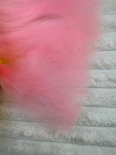 My Little Pony Styling approx. 21 cm.  Fluttershy Brushable Pony 2013 Used Please see photos