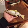 fishing lures Image 5