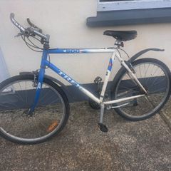 trek adult bike