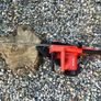 Einhell Electric Chainsaw Image 3