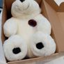 Soft Cuddly Bear in a box Image 5