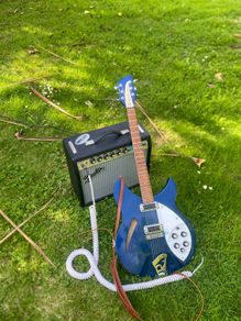 Rickenbacker 330