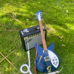 Rickenbacker 330