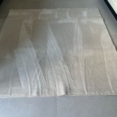 Cream Luxurious Rug