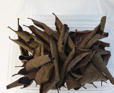 Jack,Maple,Guave,Walnut,Mulberry Leaves ect... 1000ml
