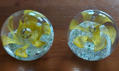 Paper Weights