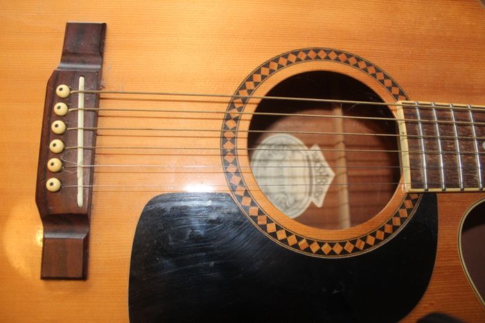 Washburn D10SCE Cutaway Acoustic Guitar