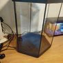 Hexagon Fish Tank for Free Image 4