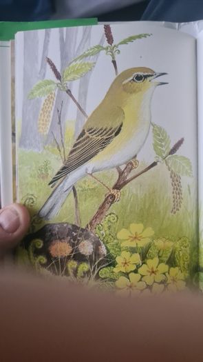 BEAUTIFUL ILLUSTRATED. THE FIRESIDE BOOK. 1995.POEMS OLD AND NEW EACH BEAUTIFULLY illustrated by a full page painting special commission to capture the flavour of the words. Hardback With Dustjacket In Very Good Condition.