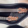 Sedgwick 20-string harp guitar Image 3