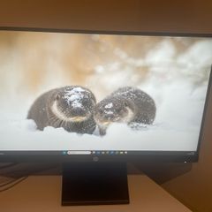 HP 22w monitor